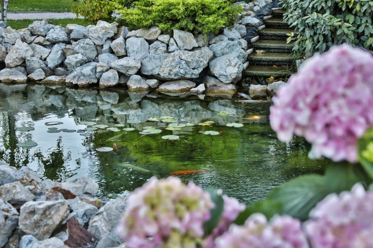 Forest Retreat&spa Resort